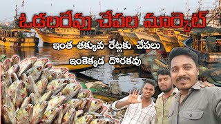 odalarevu fish market - చేపల మార్కెట్ || fresh fish market | chepala Market | amalapuram fish market