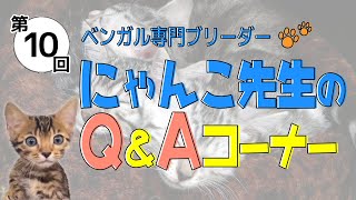 第十回チキチキにゃんこ先生Q＆A　にゃんこ先生は、本当ににゃんこの先生なのか？？？検証動画です笑笑