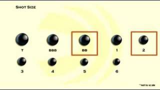 Choosing Shot Size