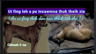 Ui fing leh a pu inzawmna thuk theih zia || Pu C Lalhmuakzauva, Thenzawl tawn hriatte -2