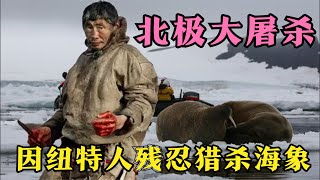 因紐特人殘忍獵殺海象，可鯨魚才是他們的最愛，因紐特人的生活！ #科學實驗 #科學試驗 #格蘭特 #亞當 #傑米