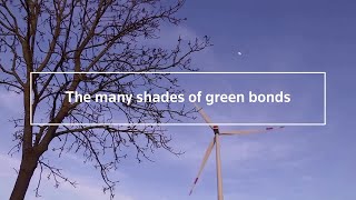 Explainer: The many shades of green bonds