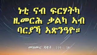 ንግስቲ ሳብ ጓል አክሱም ጽዮን is live!#𝐖𝐞𝐥𝐜𝐨𝐦𝐞# 𝐦𝐲 𝐟𝐚𝐦𝐢𝐥𝐲#𝐛𝐫𝐞𝐚𝐤𝐢𝐧𝐠𝐧𝐞𝐰𝐬