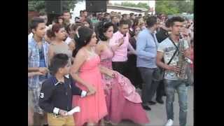 BIJAV KI VRANJA KO NEZIRI 2014-SEBO - ROLLEX BEND
