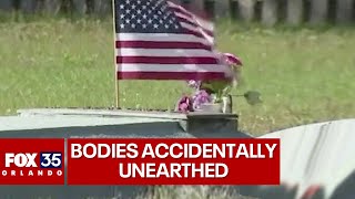 Human remains accidentally unearthed in Oviedo