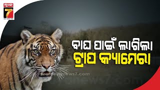 ନୂଆପଡାରେ ଗତ କିଛିଦିନ ହେବ ବାଘ ଖେଳାଇଛି ଆତଙ୍କ, ଟ୍ରାପ କ୍ୟାମେରା ଲଗାଇଛି ବନ ବିଭାଗ