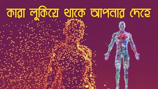 আপনার শরীরের কতটা অংশ মানুষের নয় জানেন? Human Microbiome.