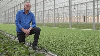 The Grower Files: Frans Bunnik of Bunnik Plants about internationalisation