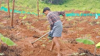 അതിജീവനത്തിനൊരുങ്ങി കവളപ്പാറ; ദുരന്തഭൂമിയിൽ കൃഷിയിറക്കി കർഷകർ | Malappuram |Kavalappara| Faizal |Fa