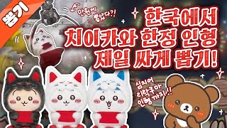 최초! 한국에서 일본 한정판 치이카와 인형 제일 싸게 뽑기!❤