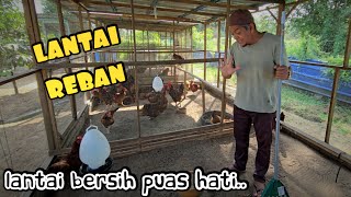 ✅️ PASIR KASAR RAHSIA REBAN AYAM BERSIH DAN SIHAT– 5 SEBAB ANDA WAJIB CUBA