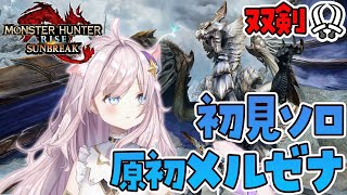 【参加型】原初メルゼナの装備づくりする【モンハンライズサンブレイク MHRise Switch版 LIVE】