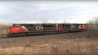 CN Train Spotting HD: CN 8814 \u0026 8927 Leads CN Q199 West At Bremner 7/12 2/16/17