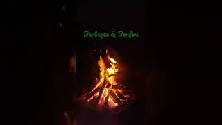 Camping experience at Gurdum | Bonfire with Chicken Barbeque | Into The Wild Camping