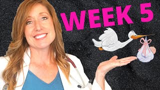 What are 5 week pregnancy symptoms:  PLUS you baby development and your first OB