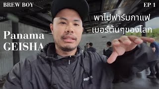 PANAMA VLOG Panama GEISHA Brewboyy EP1 พาไปฟาร์มกาแฟ เบอร์ต้นๆของโลก