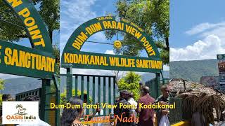 Dum-Dum Parai View Point