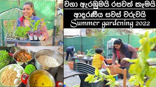 Summer Gardening/Cooking/ශ්‍රී ලංකන් life in Italy/Mommy with niki chainy fernando 💚🍃