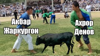 АХРОР ДЕНОВЛИК ПОЛВОН ВА АКБАР ПОЛВОН ЖАРК,УРГ,ОНЛИК ШУРЧИДА КУРАШДА 11.06.2022