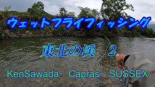 フライ編【ウェットフライフィッシング8】東北の渓2〜ダウンアクロスと釣り上がり