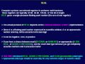SQL 046 Data Types, Approximate Numeric, REAL