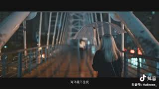 M/V 《星星失眠》 - 哈利 Halleeee 抖音 【完整版】