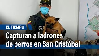 Capturan a dos hombres por robo de perros en San Cristóbal | El Tiempo