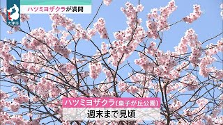 ３月１４日 【びわ湖放送ニュース】