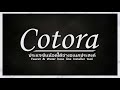 cotora สาธิตวิธีการเปลี่ยนสะดืออ่างล้างหน้าและอ่างล้างจานด้วยตัวเอง