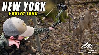 Public Land Bowhunting New York | Scrape Hunting Success in the Big Woods