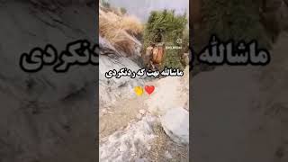 اگر شیطان جلوتو نمیگیره مشترک کن و کامنت بزار یا الله