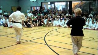 Sensei Devorah Dometrich and Sensei Martin Hung - Kata Demo - Tsuruoka Nationals Toronto.wmv