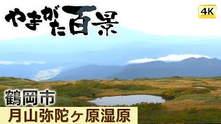 042 月山弥陀ヶ原湿原（４Ｋ）～YTS山形テレビ「やまがた百景」～