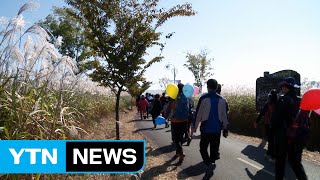 [울산] 울산 태화강 100리 길 걷기 좋은 길 선정 / YTN