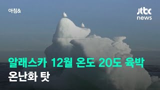 알래스카 12월 온도 20도 육박…온난화 탓 / JTBC 아침\u0026