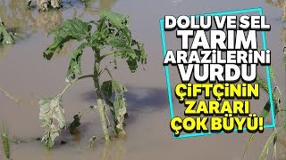 Aksaray'da 200 Bin Dekar Arazide 30 Milyonluk Dolu ve Sel Zararı