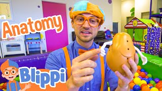 Blippi Learns about Human Anatomy | Blippi Full Episodes | Educational Videos for Kids | Blippi Toys