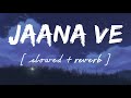 Jaana ve [ Slowed + reverb ] - Lofi remix - Arjit singh || Wild waves 🖤