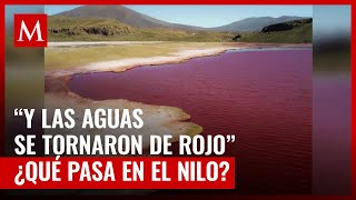 Río Nilo se pinta de rojo sangre y causa temor en redes por pasaje bíblico