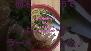 栃木県佐野市で有名な✨ようすけ✨がスーパーで売ってたから作ってねみた🍜