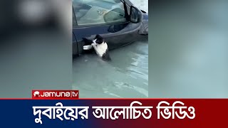 চারদিকে পানি, গাড়ির দরজা ঝুলে বাঁচার চেষ্টা করছে বিড়ালটি! | Cat Rescue | Jamuna TV