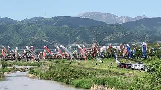 岐阜県垂井町　相川水辺公園の鯉幟