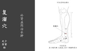 人体穴位195：复溜：补肾益阴治水肿，用艾条温和灸复溜穴5～10分钟，1天1次，可改善水肿、腹胀、盗汗等 20220126