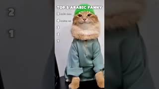 Top 5 Arabic Memes With You Will Fall Down Laughing