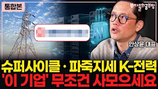 전기 없이는 AI도 없다. '이 기업' 미친 급등 나온다. ( 안상윤 대표 )