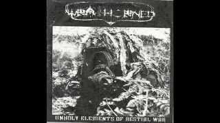 Wrathorned - Unholy Elements of Bestial War