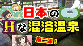 【ゆっくり解説】タオル禁止！日本の叡智な温泉・第二弾！