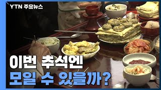 이번 추석엔 모일 수 있을까...정부, 방역 대책 고심 / YTN