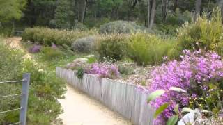 An introduction to the Eurobodalla Regional Botanic Gardens