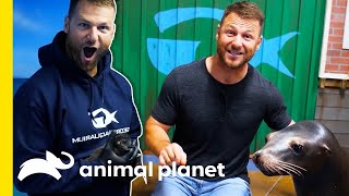 π΄ Dave Salmoni's Best Animal Lessons | Animal Bites with Dave Salmoni